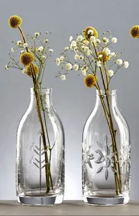 Flower Bottle Drinkware Live Wallpaper
