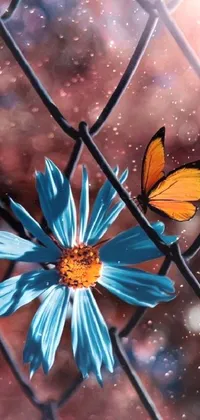 Flower Butterfly Nature Live Wallpaper
