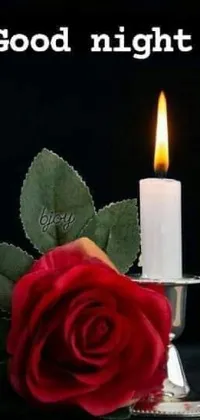Flower Candle Wax Live Wallpaper