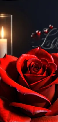 Flower Candle White Live Wallpaper