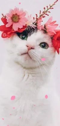 Flower Cat Felidae Live Wallpaper