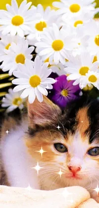 Flower Cat Plant Live Wallpaper