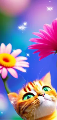 Flower Cat Sky Live Wallpaper