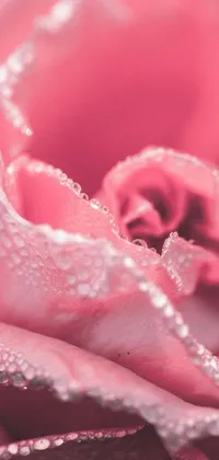 Flower Closeup Droplet Live Wallpaper