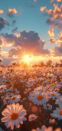 Flower Cloud Sky Live Wallpaper