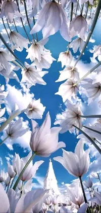 Flower Daytime Sky Live Wallpaper