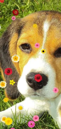 Flower Dog Plant Live Wallpaper