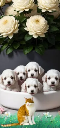 Flower Dog White Live Wallpaper