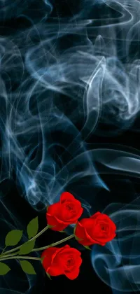 Flower Flame Abstract Live Wallpaper
