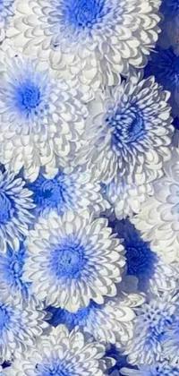 Flower Floral Blue Live Wallpaper