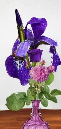 Flower Flowerpot Purple Live Wallpaper