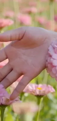 The phone live wallpaper features a stunning close-up of a delicate pink flower being touched by a human hand