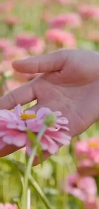 Flower Hand Plant Live Wallpaper