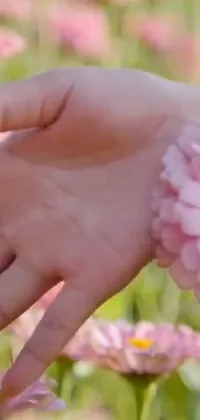 This live phone wallpaper features a hyper-realistic, pink flower that reacts to your touch