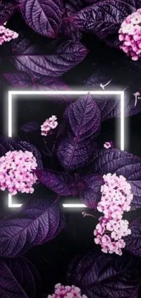 Get lost in the mesmerizing beauty of this phone live wallpaper, featuring a stunning purple flower with a striking neon frame
