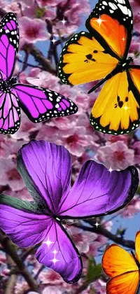 Flower Insect Plant Live Wallpaper