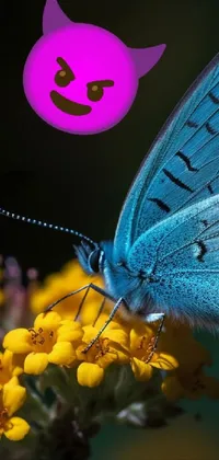 Flower Insect Pollinator Live Wallpaper