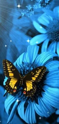 Flower Insect Pollinator Live Wallpaper