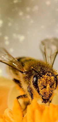 If you're looking for a stunning and peaceful live wallpaper for your phone, this bee and flower scene might be just what you need