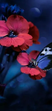 Flower Invertebrate Butterfly Live Wallpaper