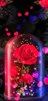 A stunning phone live wallpaper that features a red rose in a glass dome on a sleek black background with beautiful stars