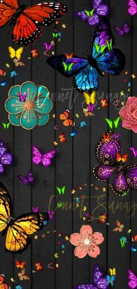 Flower Light Nature Live Wallpaper
