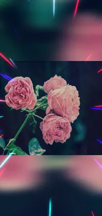 Looking for an immersive live wallpaper for your phone? Check out this digital rendering featuring two pink roses sitting next to each other and exploding into an array of vibrant colors against a retro pink background