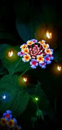 Flower Light Plant Live Wallpaper