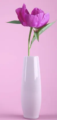 Adorn your phone screen with this mesmerizing live wallpaper featuring a beautifully designed white vase with two vibrant purple peony flowers