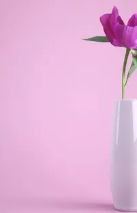Flower Liquid Plant Live Wallpaper