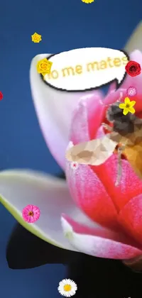 Flower Liquid Plant Live Wallpaper