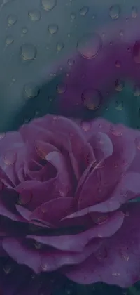This beautiful phone live wallpaper features a stunning Pink Rose in the Rain digital art set against a rainy day