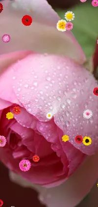 Flower Liquid Water Live Wallpaper
