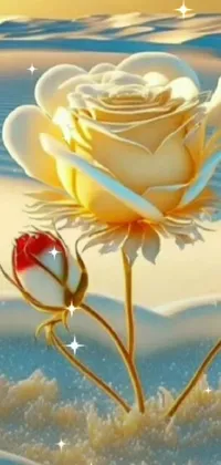 This exquisite phone live wallpaper showcases a white rose on a snowy ground under a beautiful golden sunset