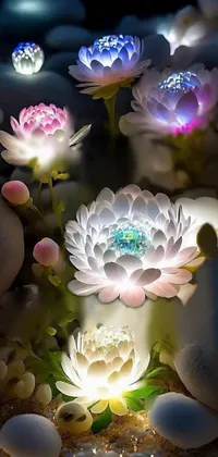 Flower Lotus Light Live Wallpaper