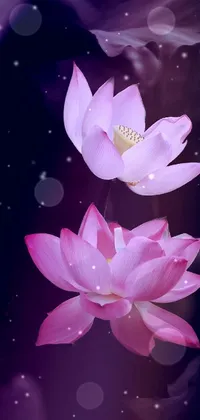 Flower Lotus Plant Live Wallpaper