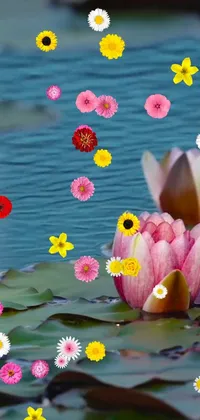 Flower Lotus Water Live Wallpaper
