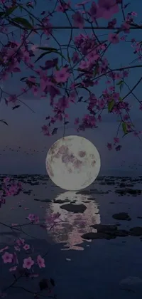 Flower Moon Live Wallpaper