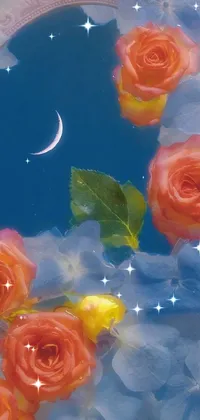 Flower Moon Light Live Wallpaper