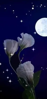 Flower Moon Sky Live Wallpaper