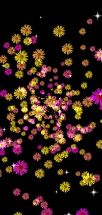 Flower Nature Pink Live Wallpaper