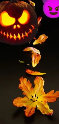 Flower Orange Petal Live Wallpaper