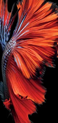 This phone live wallpaper showcases a remarkable digital rendering by a skilled artist, featuring a fish with intricate details in a close-up view against a contrasting black background