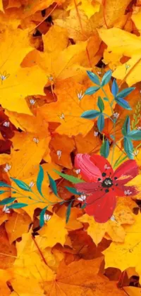 This phone live wallpaper features a stunning red flower atop vibrant yellow leaves
