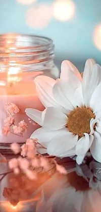 This phone live wallpaper showcases a serene candle and flower scene by Elaine Hamilton