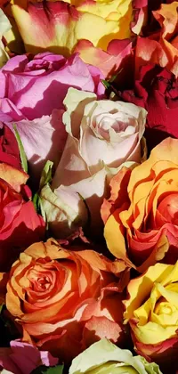This stunning live wallpaper features a close-up view of a colorful and hyperdetailed mix of flowers resembling a portal made entirely of roses