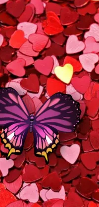 Introducing a stunning live wallpaper for phones, featuring a graceful purple butterfly seated on red hearts