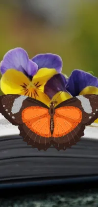 This phone live wallpaper showcases a butterfly perched atop an open book surrounded by natural elements such as an orange and purple color scheme and a Manuka plant