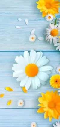 This phone live wallpaper features a group of white daisies with yellow centers on a wooden table