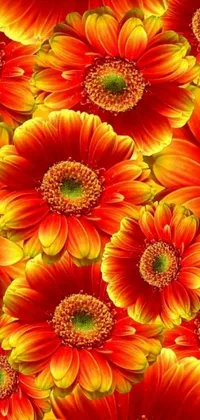 This live phone wallpaper features a digital rendering of red and yellow flowers against a soft, green background